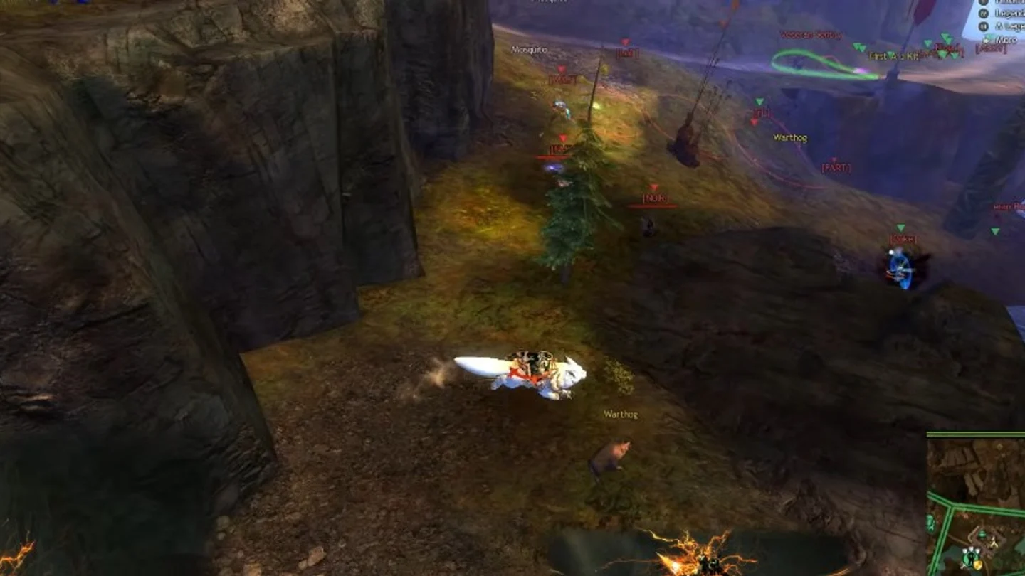 Guild Wars 2 Cheats Features Guild Wars 2 ESP and world overlay features